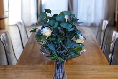 Close-up of potted plant on table at home