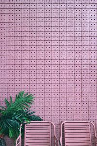 View of potted plants against wall