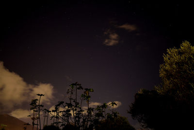 Low angle view of silhouette trees against sky at night