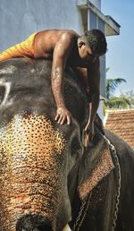 Full length of shirtless man sitting on elephant