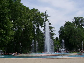 View of trees against sky