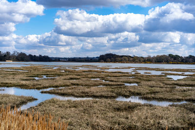 wetland