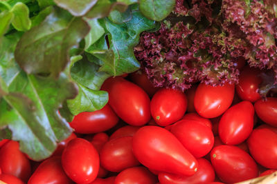 Close-up of vegetables in basket