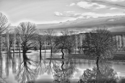 Reflection of trees in lake against sky