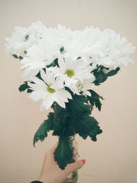 Close-up of flowers in vase