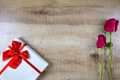 Directly above shot of red flower on table