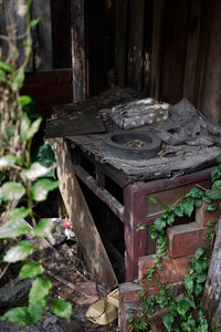 Close-up of old abandoned wood