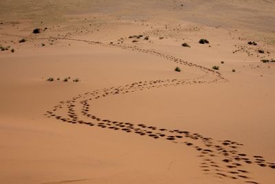 High angle view of footprints on sand