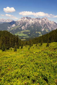 Scenic view of landscape and mountains against sky