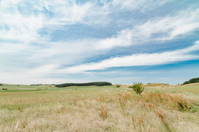 Scenic view of field against cloudy sky