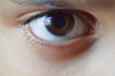 Close-up portrait of human eye