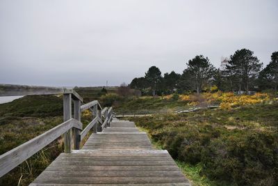 Wooden footbridge along trees and plants against sky