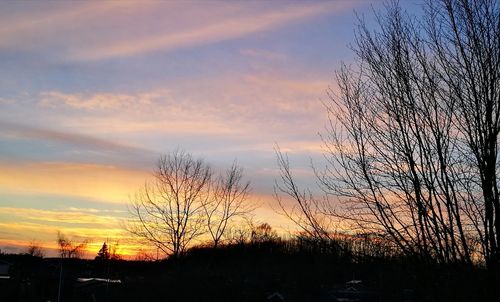 Silhouette of trees against sky during sunset