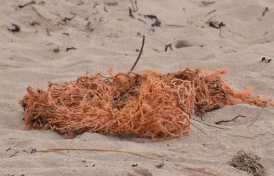 Close-up of sand