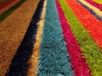 Full frame shot of multi colored grass