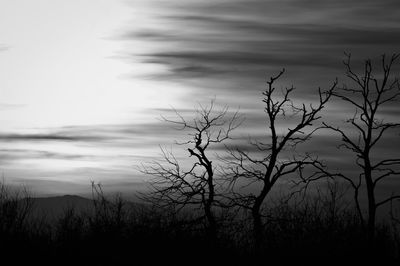 Silhouette bare trees against sky during sunset
