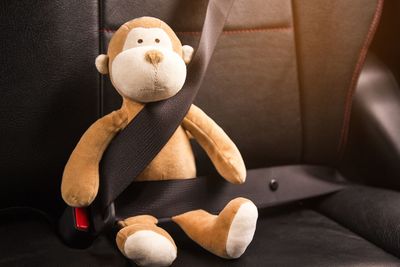 Close-up of stuffed toy on sofa