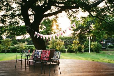 Empty chair hanging on tree