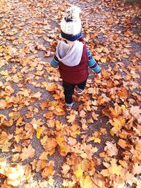 Rear view of child falling on dry leaves during autumn