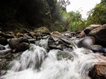 Stream flowing through rocks in forest