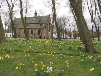 Church on field against sky