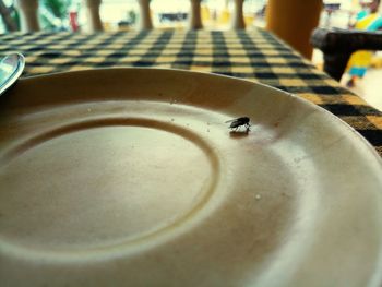 Close-up of drink on table