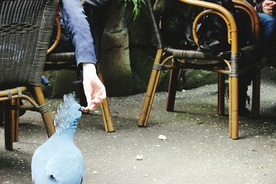 Low section of man sitting on chair