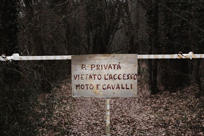 Close-up of text on tree trunk