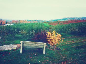 Plants growing on field