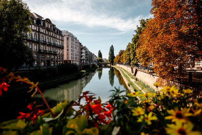 Canal amidst trees against sky in city