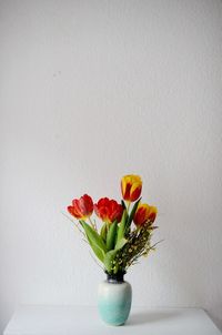 Close-up of potted plant