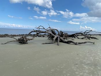 Scenic view of beach against sky