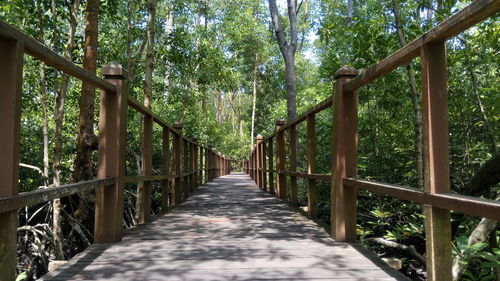 Footbridge amidst trees in forest