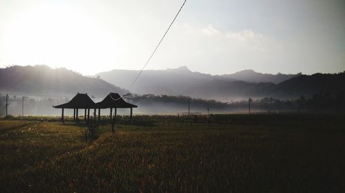 Rice paddy field forever.