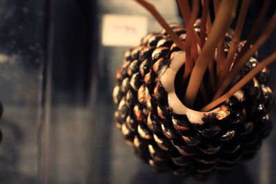 Close-up of pine cone on table