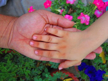 Close-up of hand against flowers