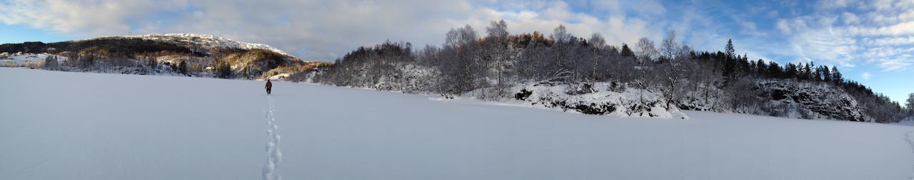 PANORAMIC VIEW OF TREES ON SNOW COVERED LAND AGAINST SKY