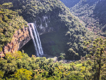 Beautiful winter day, sunny to enjoy a beautiful waterfall and native trees