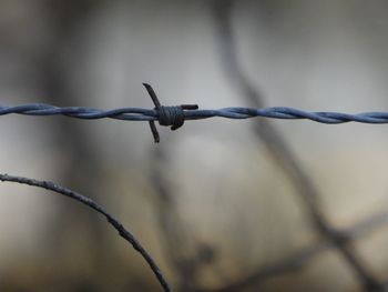 Close-up of barbed wire fence