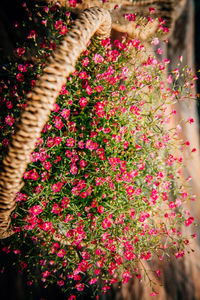 Woman with pink flowers