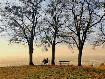 Rear view of young couple sitting on bench by trees against cityscape