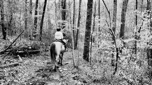 People riding motorcycle on road amidst trees in forest