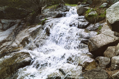 Scenic view of waterfall in forest