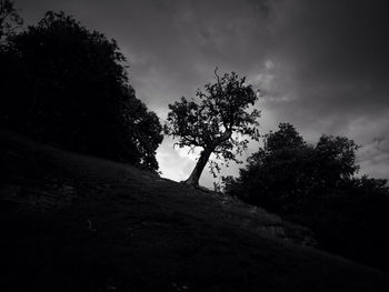 Trees on landscape against cloudy sky