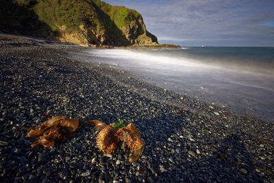 Surface level of rocks on shore against sky