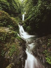 Waterfall in forest