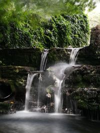 Waterfall in forest