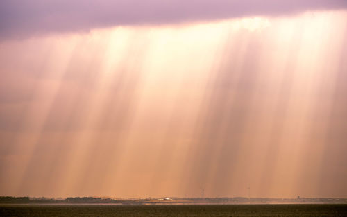 Scenic view of agricultural field against sky during sunset