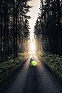 Rear view of man on road amidst trees in forest