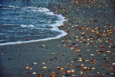 High angle view of pebbles on beach